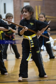Premier Martial Arts (BR3_9401)