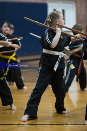 Premier Martial Arts (BR3_9404)