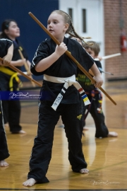 Premier Martial Arts (BR3_9407)