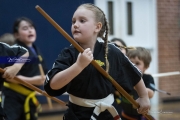Premier Martial Arts (BR3_9409)