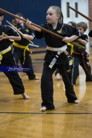 Premier Martial Arts (BR3_9412)