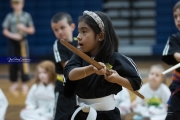 Premier Martial Arts (BR3_9423)