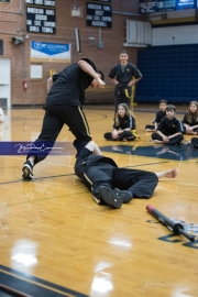 Premier Martial Arts (BR3_9587)
