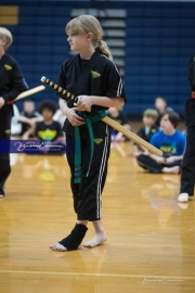 Premier Martial Arts (BR3_9637)