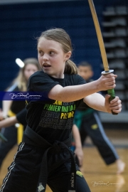 Premier Martial Arts (BR3_9645)