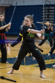 Premier Martial Arts (BR3_9649)