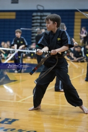 Premier Martial Arts (BR3_9658)