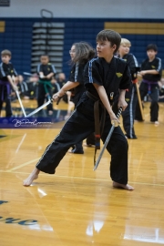 Premier Martial Arts (BR3_9663)