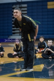 Premier Martial Arts (BR3_9700)