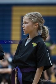 Premier Martial Arts (BR3_9791)