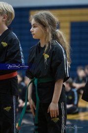 Premier Martial Arts (BR3_9800)