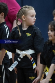 Premier Martial Arts (BR3_9835)