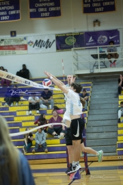 Boys Volleyball: Watauga at North Henderson (BR3_5268)