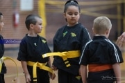 Premier Martial Arts Tournament (BR3_5226)