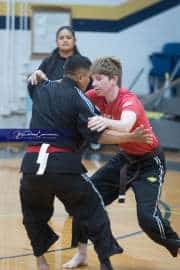 Premier Martial Arts Tournament (BR3_5544)