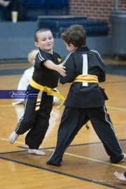 Premier Martial Arts Tournament (BR3_5609)