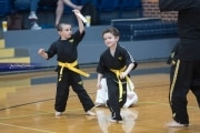 Premier Martial Arts Tournament (BR3_5661)