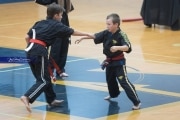 Premier Martial Arts Tournament (BR3_7105)