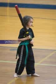 Premier Martial Arts Tournament (BR3_7133)