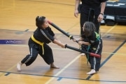 Premier Martial Arts Tournament (BR3_7143)