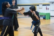 Premier Martial Arts Tournament (BR3_7173)
