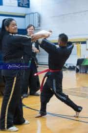 Premier Martial Arts Tournament (BR3_7182)