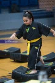 Premier Martial Arts Tournament (BR3_8002)
