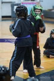 Premier Martial Arts Tournament (BR3_8069)