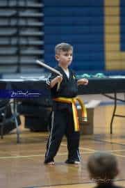 Premier Martial Arts Tournament (BR3_8415)