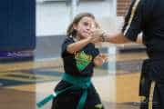 Premier Martial Arts Tournament (BR3_8784)