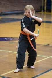 Premier Martial Arts Tournament (BR3_9023)