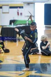 Premier Martial Arts Tournament (BR3_9151)