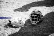 Baseball 4A Championship: TC Roberson v Wake Forest Game 1 (BR3_