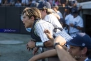 Baseball 4A Championship: TC Roberson v Wake Forest Game 1 (BR3_