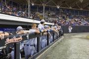 Baseball 3A Championship: West Henderson v J.H. Rose (BR3_6412)