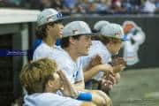 Baseball 3A Championship: West Henderson v J.H. Rose (BR3_6612)