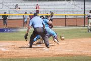 Baseball 4A Championship: TC Roberson v Wake Forest Game 2 (BR3_
