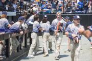 Baseball 4A Championship: TC Roberson v Wake Forest Game 2 (BR3_