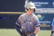 Baseball 4A Championship: TC Roberson v Wake Forest Game 2 (BR3_