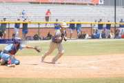 Baseball 4A Championship: TC Roberson v Wake Forest Game 2 (BR3_