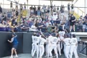 Baseball 4A Championship: TC Roberson v Wake Forest Game 3 (BR3_