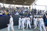 Baseball 4A Championship: TC Roberson v Wake Forest Game 3 (BR3_