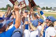 Baseball: WHHS State Champions Gm 3 (BR3_0021)