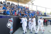 Baseball: WHHS State Champions Gm 3 (BR3_0085)
