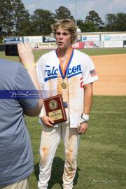 Baseball: WHHS State Champions Gm 3 (BR3_0108)