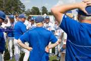 Baseball: WHHS State Champions Gm 3 (BR3_0131)