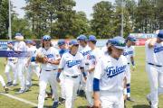Baseball: WHHS State Champions Gm 3 (BR3_8087)