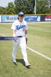 Baseball: WHHS State Champions Gm 3 (BR3_8104)