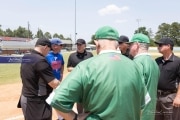 Baseball: WHHS State Champions Gm 3 (BR3_8123)