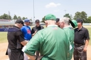 Baseball: WHHS State Champions Gm 3 (BR3_8127)